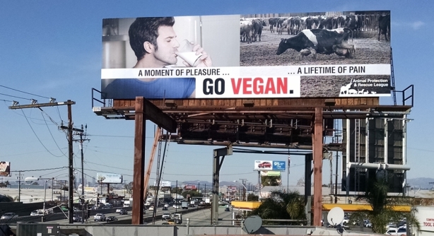 Go Vegan Billboard - Cow