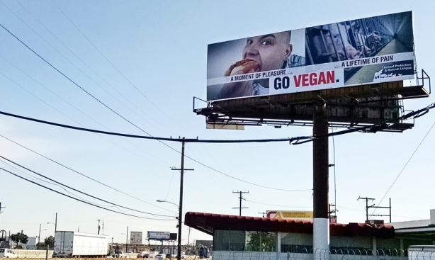 Go Vegan Billboard - Pigs